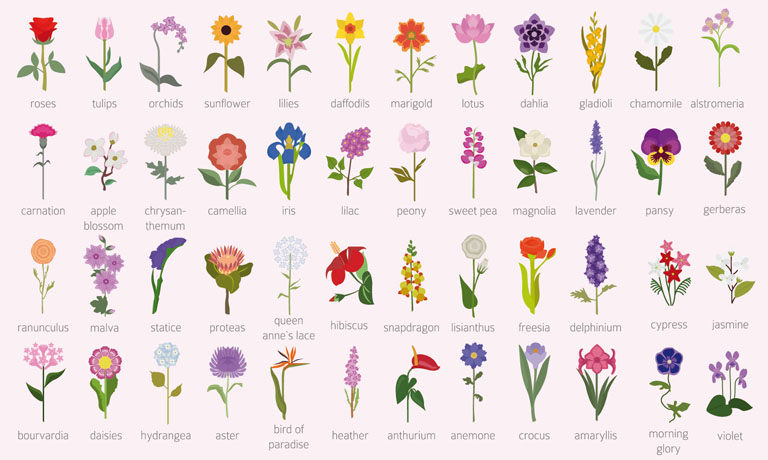 Die Symbolik von Blumen