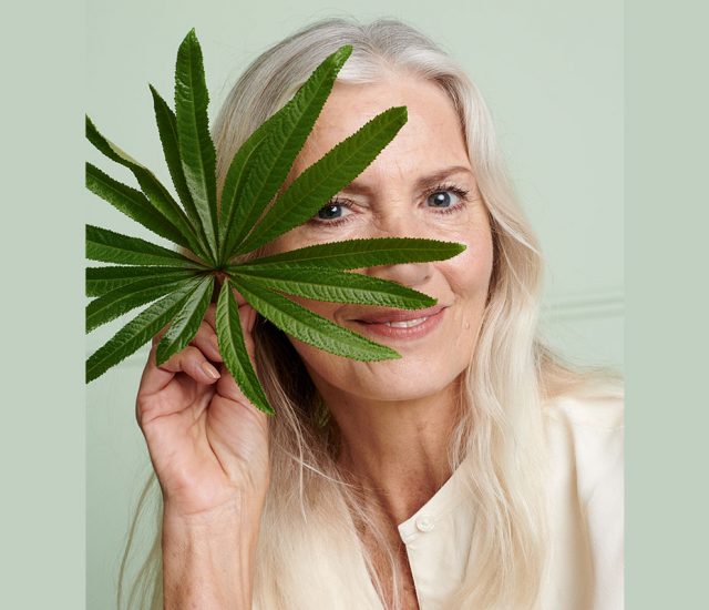 Avon weist Verbindung von CBD mit Anti-Aging in Hautpflege nach